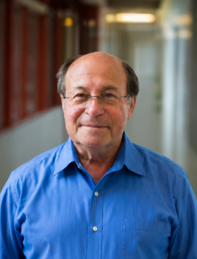Yeshaiahu (Shaya) Fainman